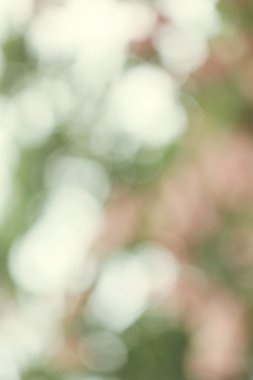 Işıklar çiçek arka plan