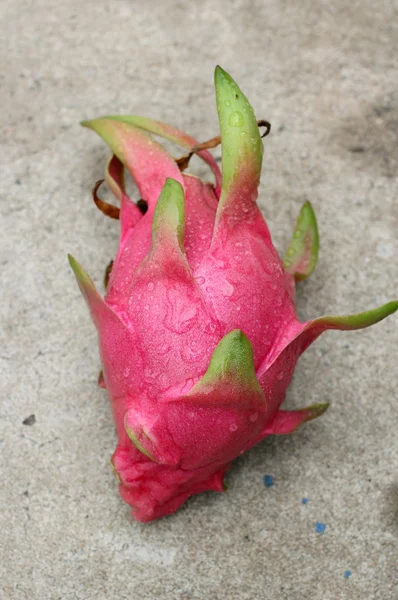 Drachenfrucht. — Stockfoto