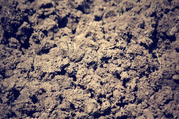 Soil background — Stock Photo, Image