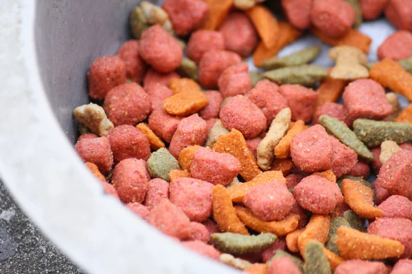 Suché krmivo pro psy a kočky — Stock fotografie