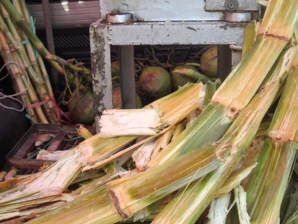 Macchina succo di canna da zucchero — Foto Stock