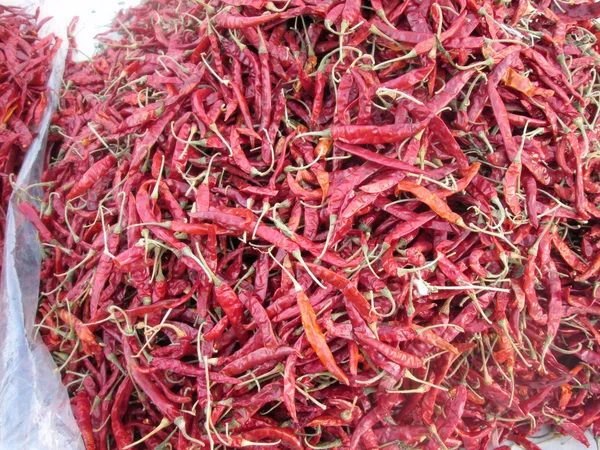 Dried chili — Zdjęcie stockowe