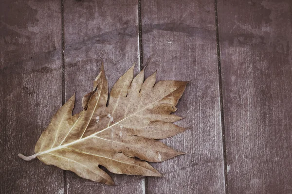 Droge leaf op hout achtergrond — Stockfoto