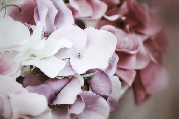 Vintage pink flowers — Stock Photo, Image