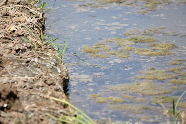 Sewage — Stock Photo, Image