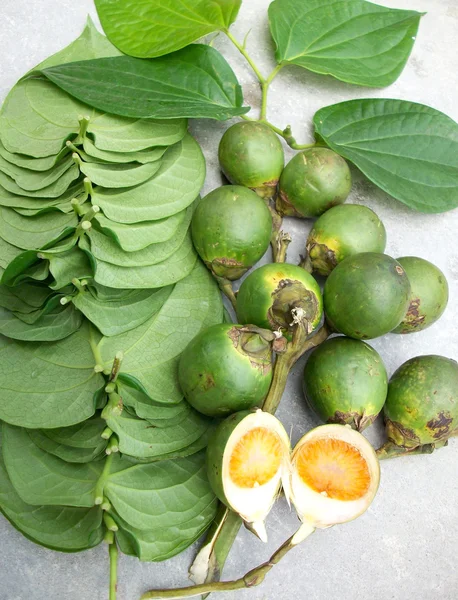 槟榔和叶 — 图库照片