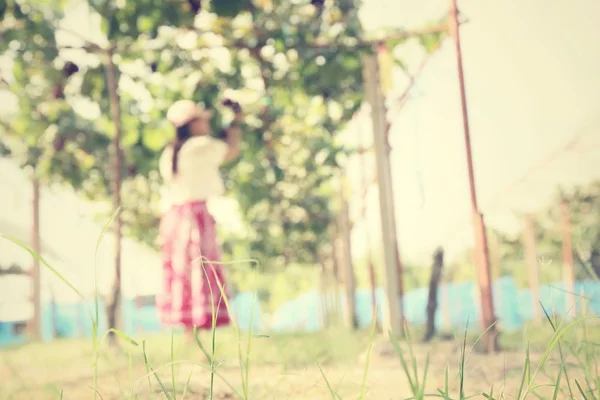 Kabur dari wanita di kebun anggur — Stok Foto