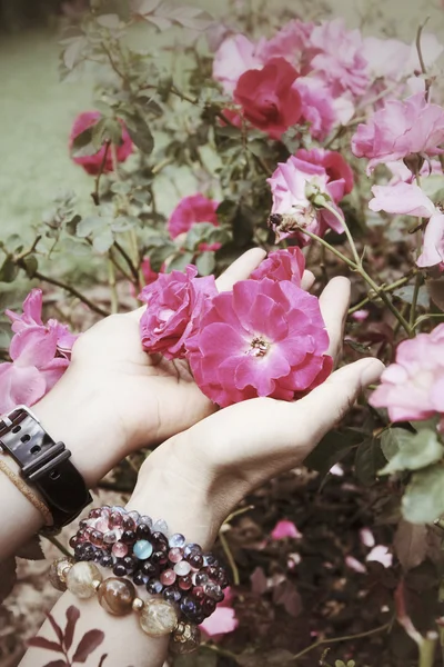 Rose avec les mains — Photo