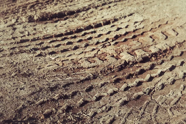 Wielsporen op de grond. — Stockfoto