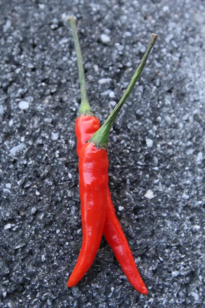 Chili peppers — Stock Photo, Image