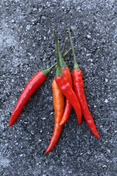 Pimentos de pimentão — Fotografia de Stock