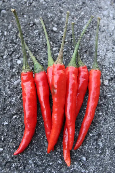 Pimentos de pimentão — Fotografia de Stock