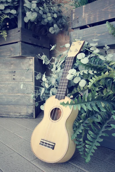 Гавайська гітара — стокове фото