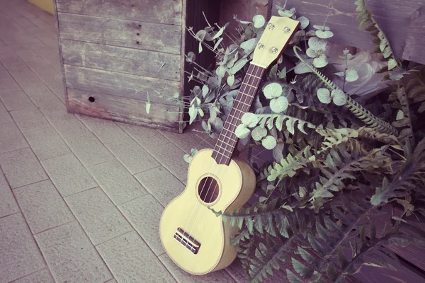 Ukulele — Fotografia de Stock