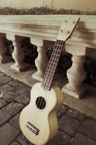 Ukulele — Fotografia de Stock