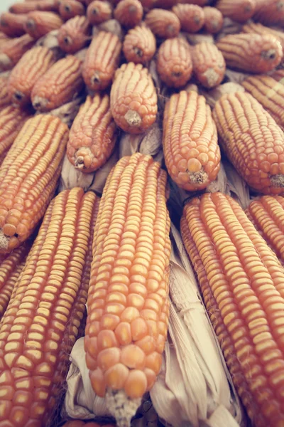 Dried corns — Stock Photo, Image