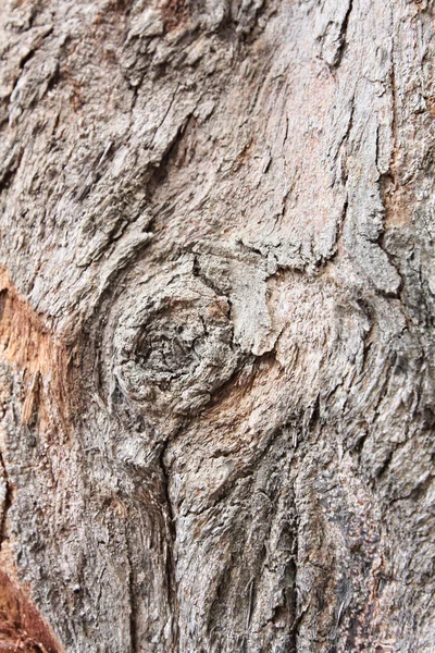 Fondo de madera vieja —  Fotos de Stock