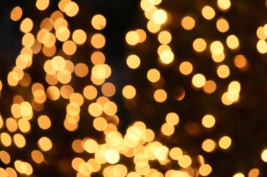 Altın Bokeh