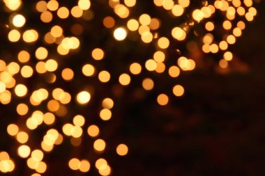 Altın Bokeh
