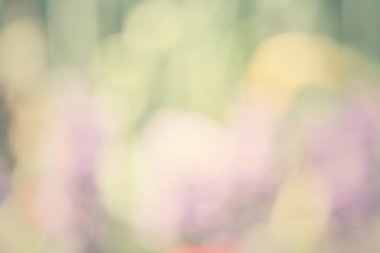 Çiçeklerin bulanık