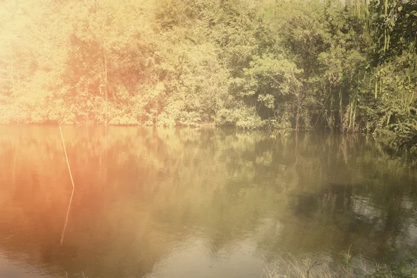 Lago e floresta — Fotografia de Stock