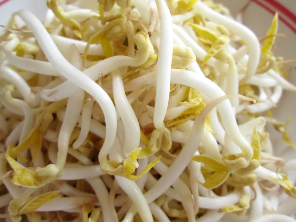 Bean sprouts — Stock Photo, Image