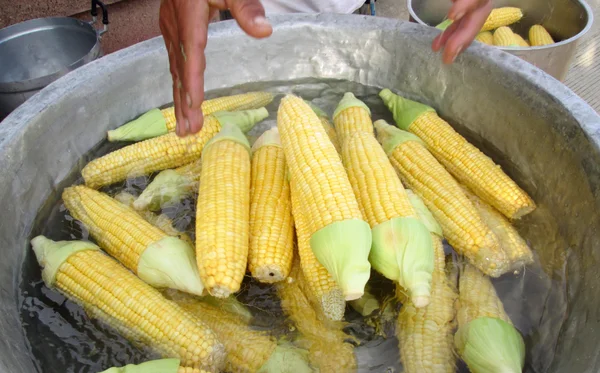 Fresh corn — Stock Photo, Image