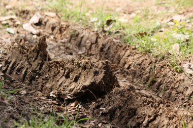 Topraktaki tekerlek izleri.