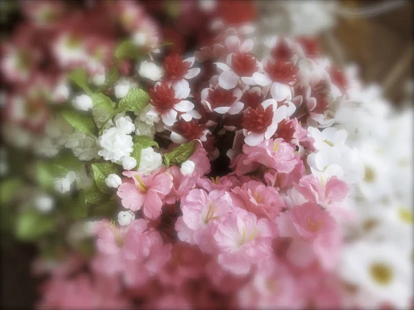 Borrosa de flores — Foto de Stock