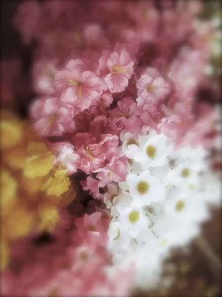Rozmazané květin — Stock fotografie