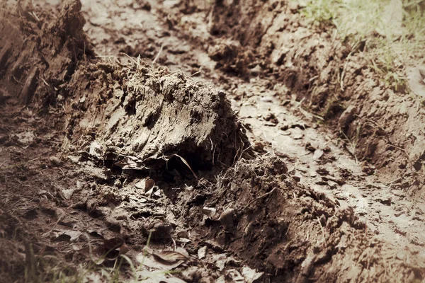 Wheel tracks on the soil. — Stock Photo, Image