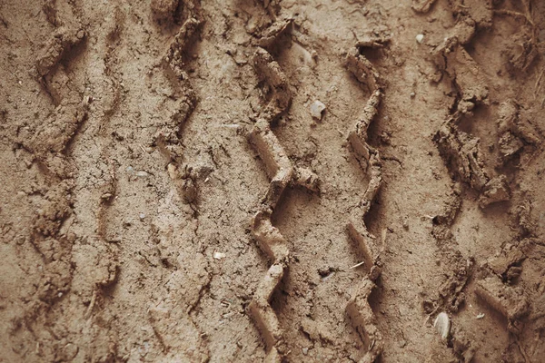 Wheel tracks on the soil. — Stock Photo, Image