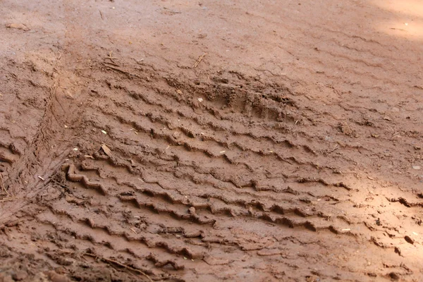 Wheel tracks on the soil. — Stock Photo, Image