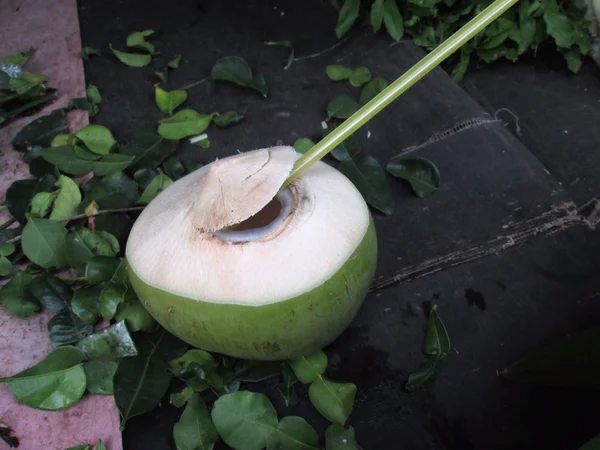 Bebida de coco — Fotografia de Stock