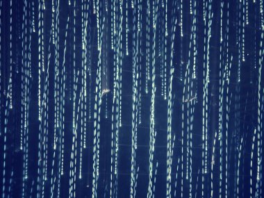 soyut hafif çizgiler 