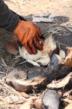Hindistan cevizi suyu içecek, Tayland