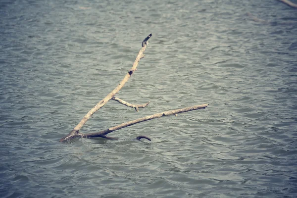 Stick met lake — Stockfoto