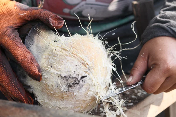 Hindistan cevizi suyu içecek, Tayland — Stok fotoğraf