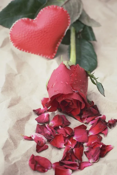 Rosa roja con corazón — Foto de Stock