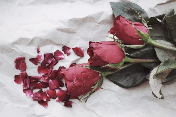 Red roses — Stock Photo, Image