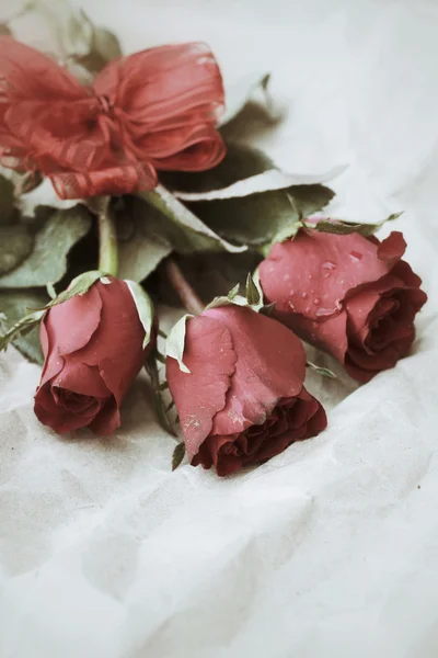 Červené růže stuhou luk — Stock fotografie