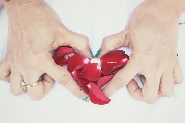 Rozenblaadjes met hand — Stockfoto