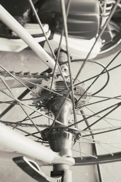 Roda de bicicleta — Fotografia de Stock