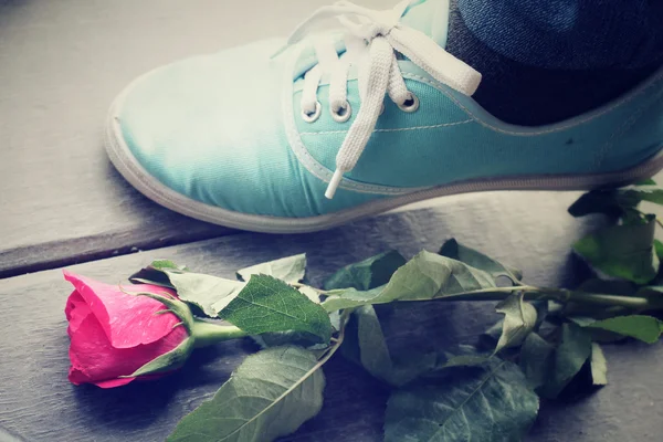 Red rose with sneaker — Stock Photo, Image
