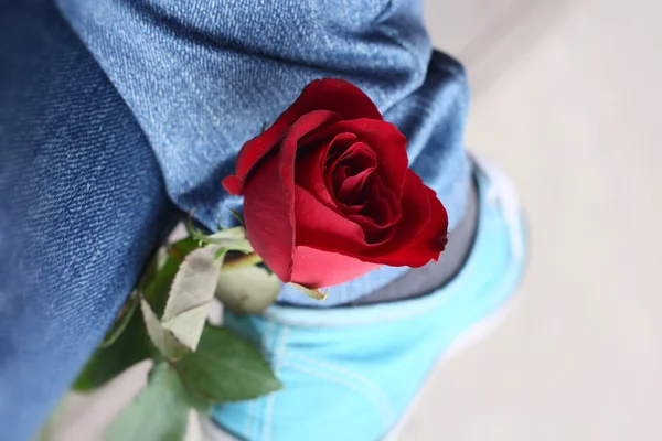 Red rose with sneaker — Stock Photo, Image