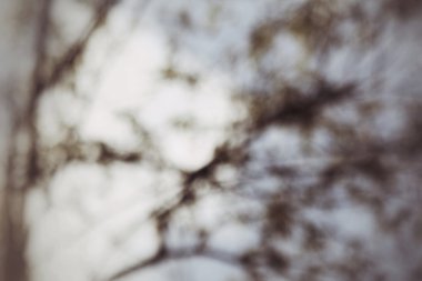 ağaç dalları bulanık