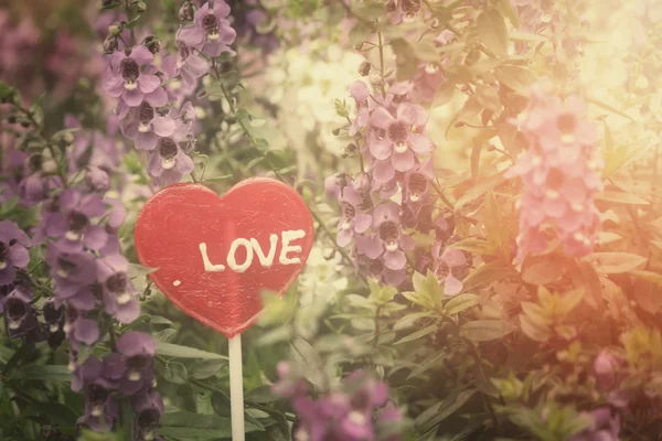 Corazón de San Valentín de caramelo —  Fotos de Stock