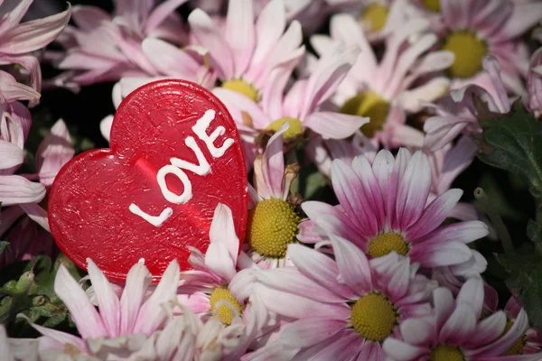 Candy valentines heart with flowers — Stock Photo, Image