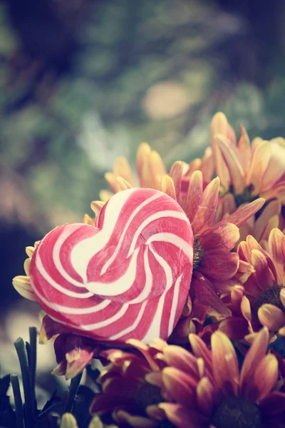 Bonbons coeur de valentines avec des fleurs — Photo