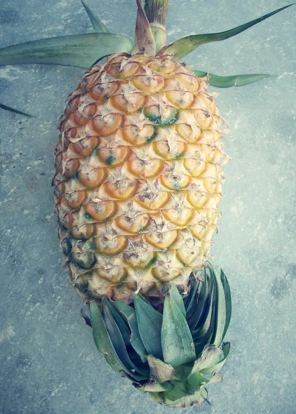 Ananas — Zdjęcie stockowe